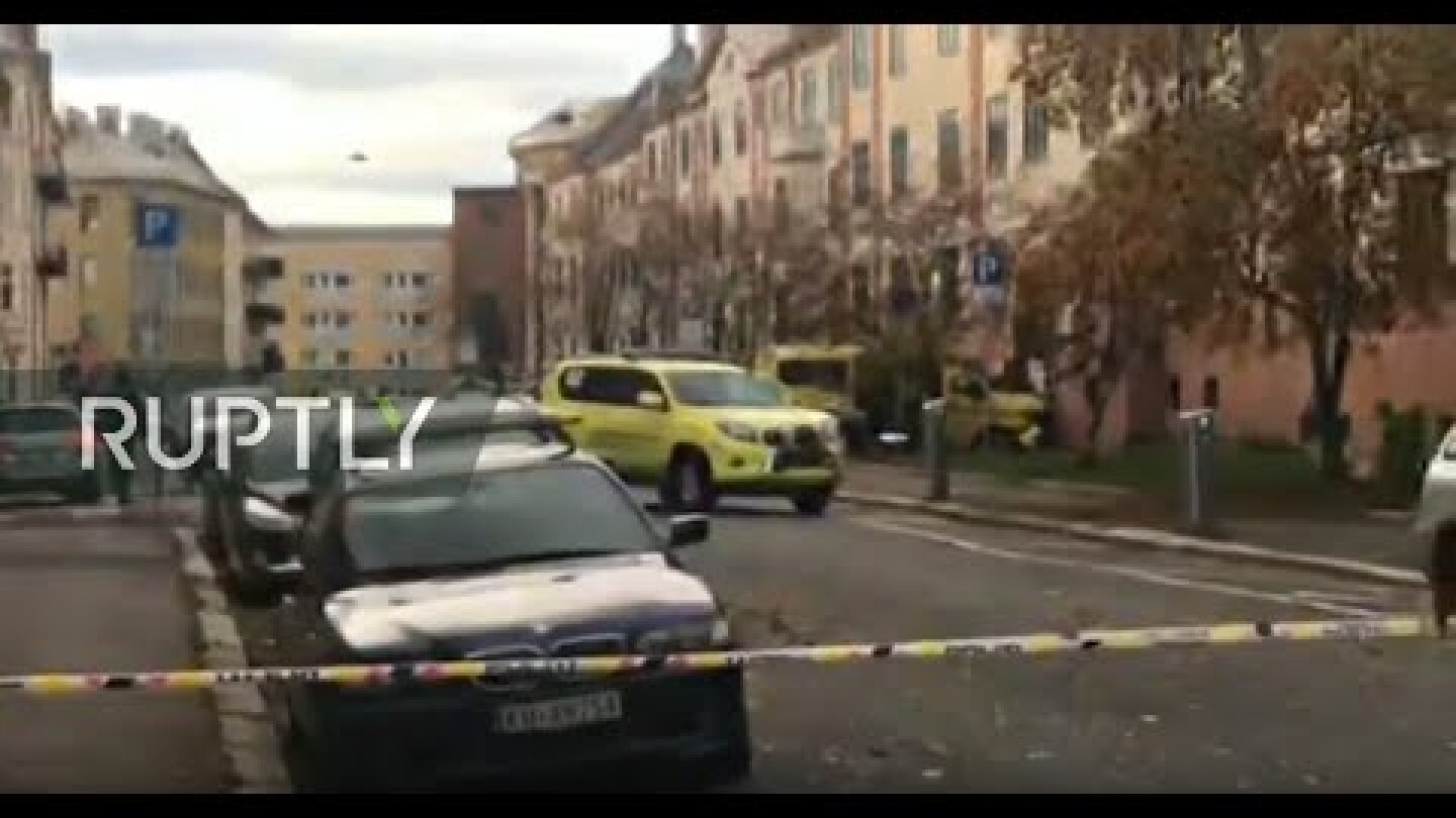 LIVE: Several injured after armed man highjacks ambulance and drives into bystanders in Oslo