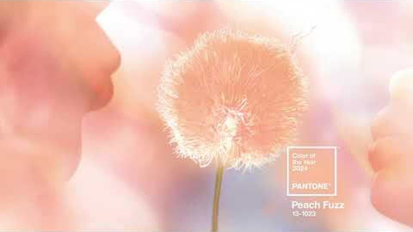 PANTONE 13-1023 Peach Fuzz, the Pantone Color of the Year 2024