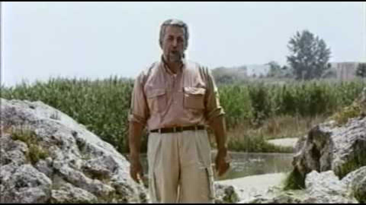 ΑΣ ΠΕΡΙΜΕΝΟΥΝ ΟΙ ΓΥΝΑΙΚΕΣ - Διότι οι άνθρωποι δεν συγχωρούν αυτούς που απο έρωτα εκπέσανε