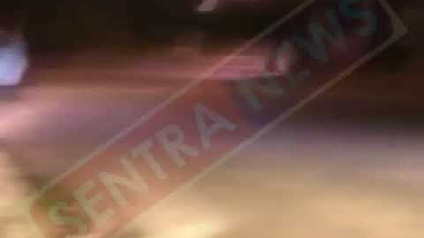 Αρκούδα στην πλατεία πολυκαρπης 27-6-2018