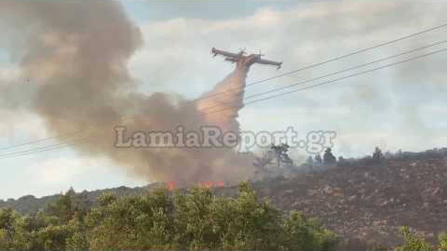 Lamiareport.gr: Καταστροφές από τις φλόγες στο Μαρτίνο