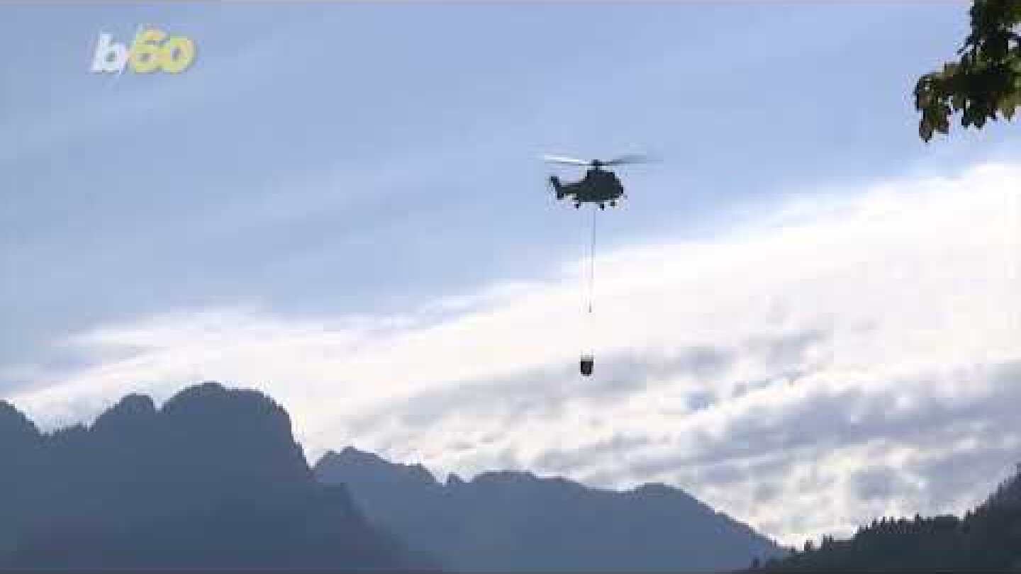 Swiss Army Airlifts Water to Animals Sweltering Under This Summer’s Heat