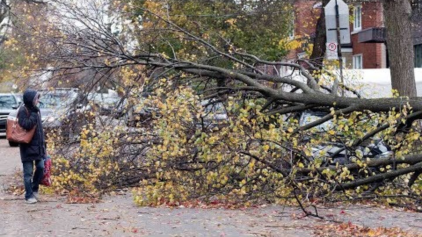 Quebec storm leaves over 900,000 customers without power