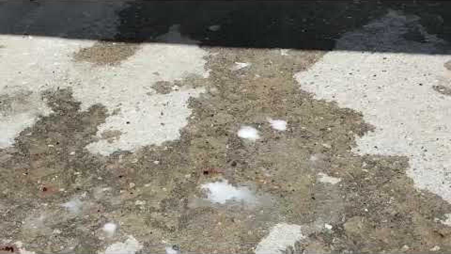 Thestival.gr φονικό Κρύα Βρύση