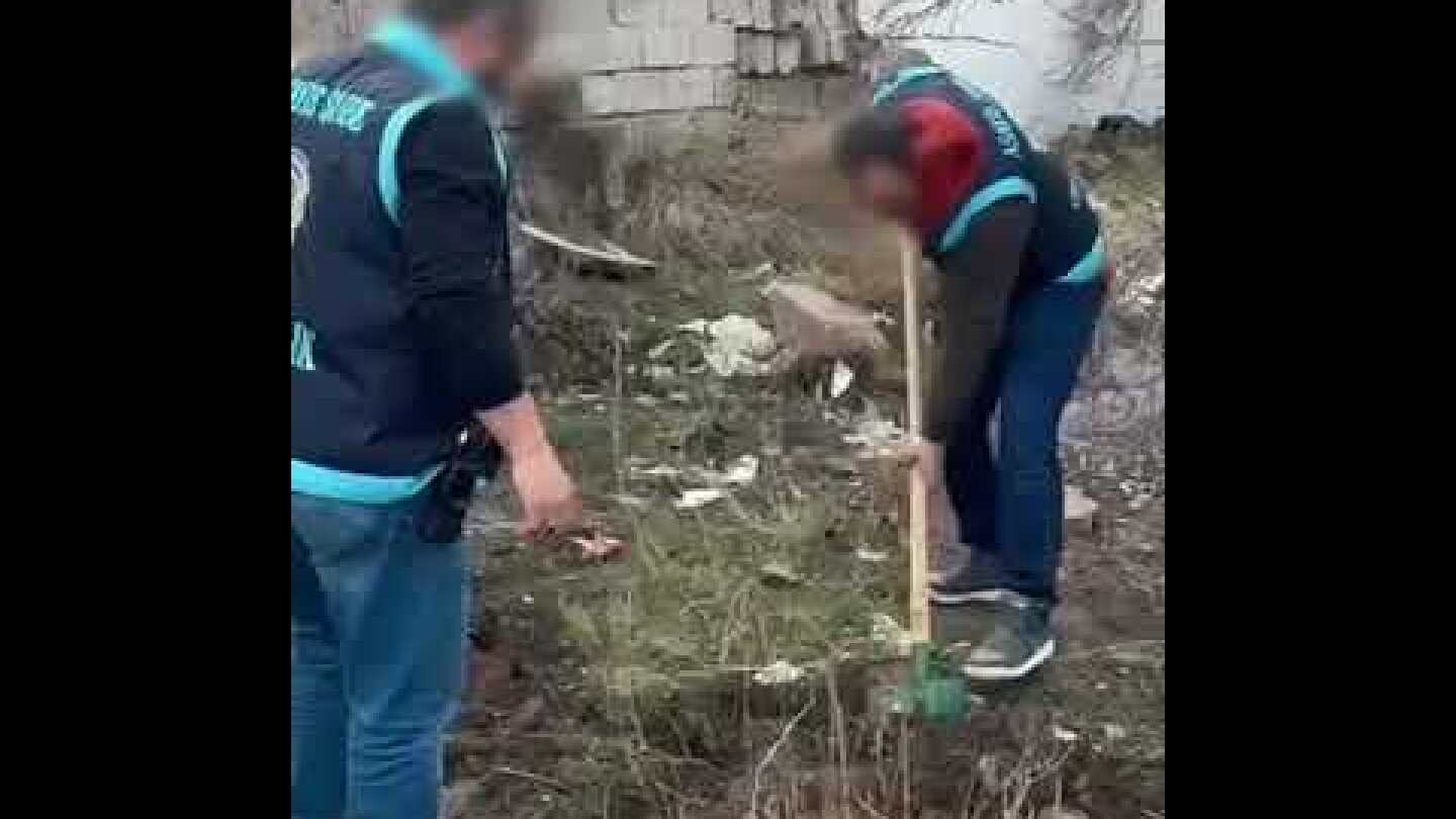 Forkliftle kepenk ve camlarını kırarak kuyumcudan altın çalıp eşekle kaçan zanlı tutuklandı