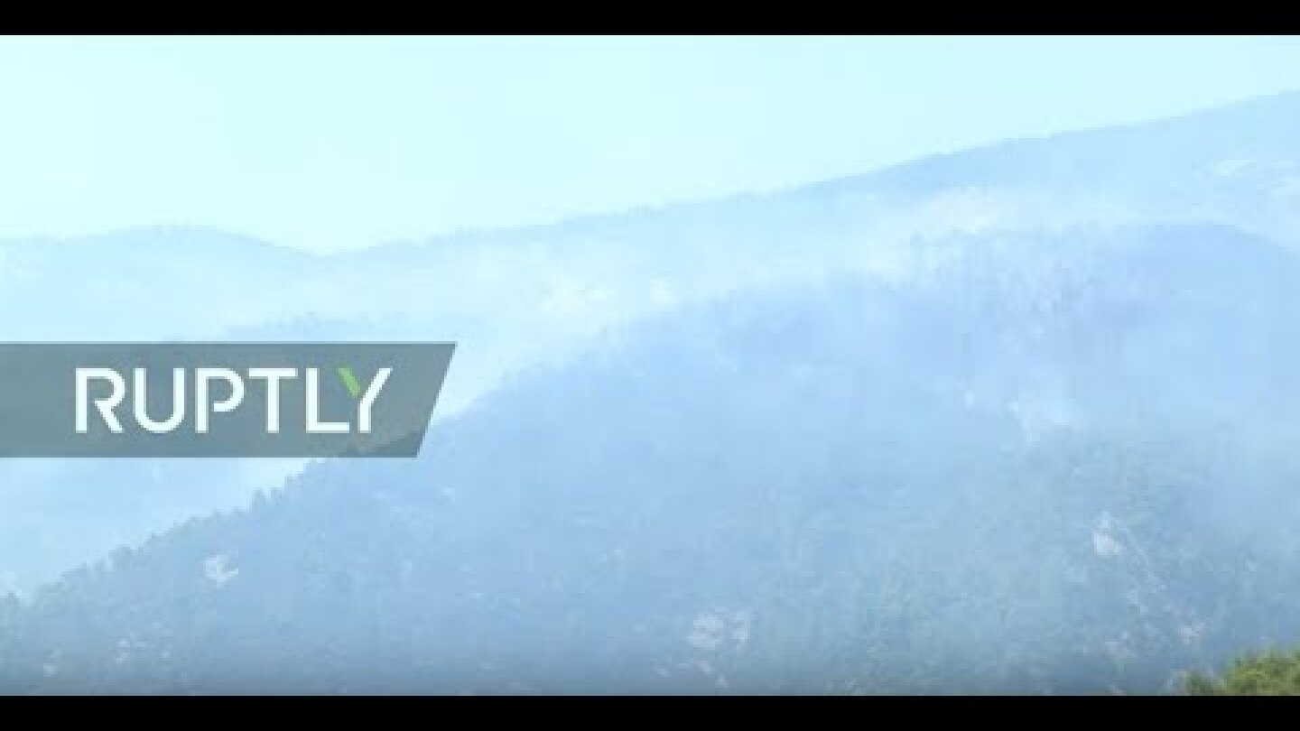 LIVE: Firefighters battle wildfires on Greek island of Evia