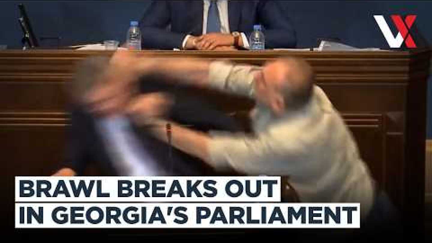 Fistfight Erupts In Georgia Parliament | Lawmakers Clash As Debate Turns Violent | VERTEX