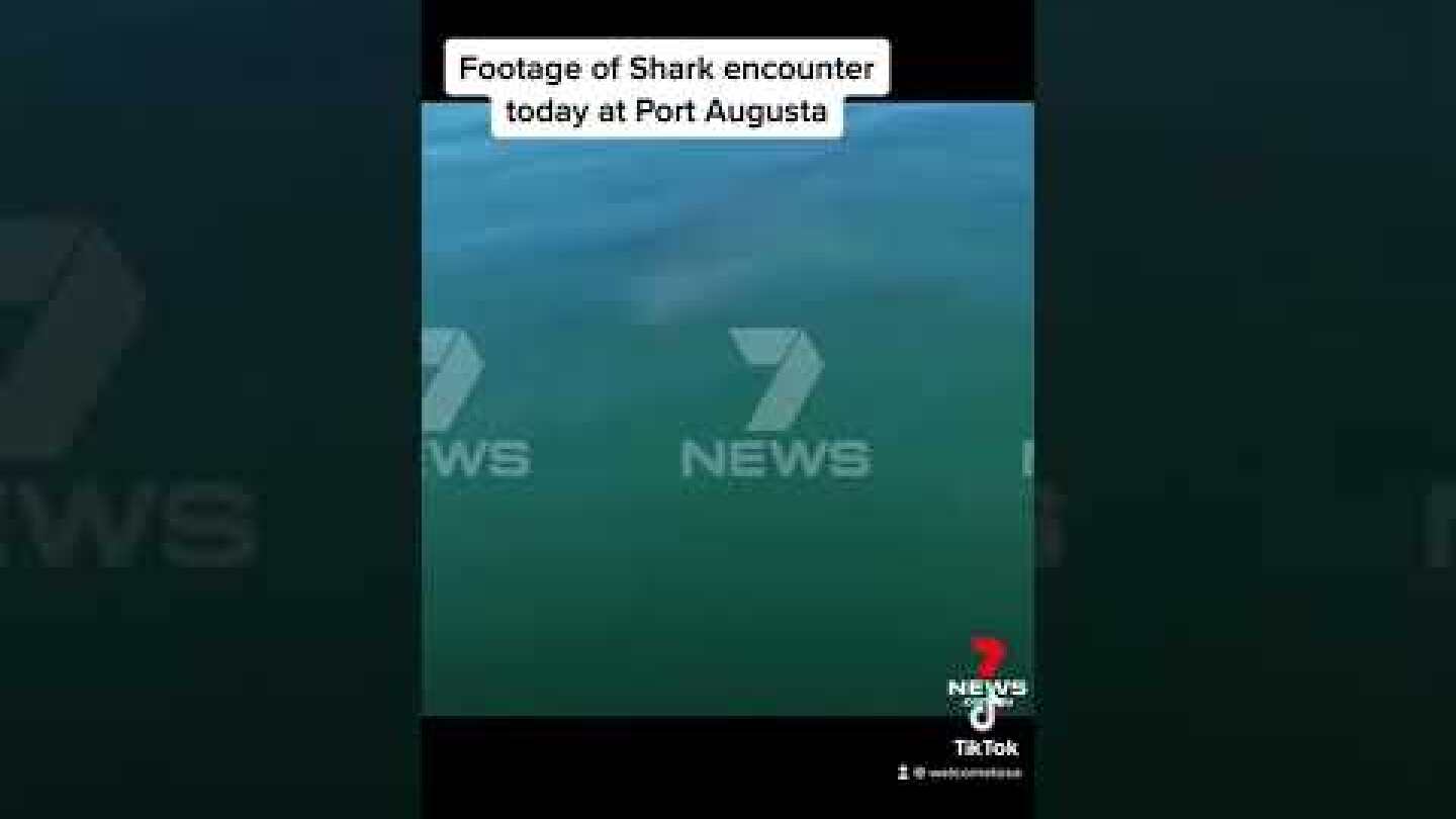 Kayaker vs shark at Port Augusta today, South Australia