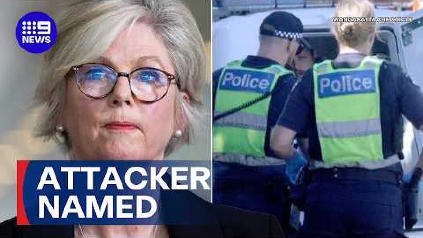 Attacker named in Helen Haines incident | 9 News Australia