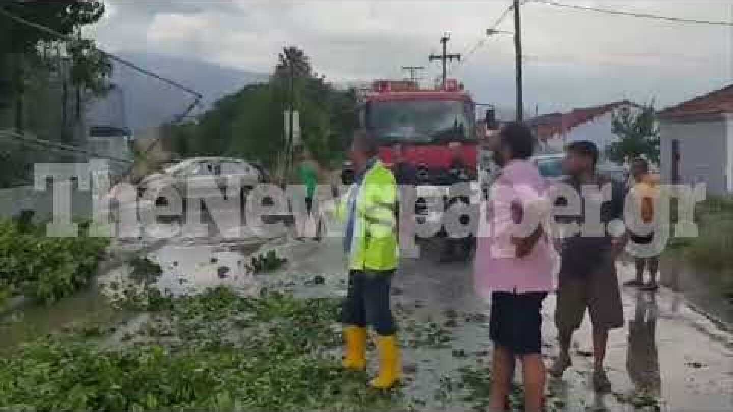 Κατέρρευσαν δέντρα και αυλόγυρος σε σχολείο του Βόλου