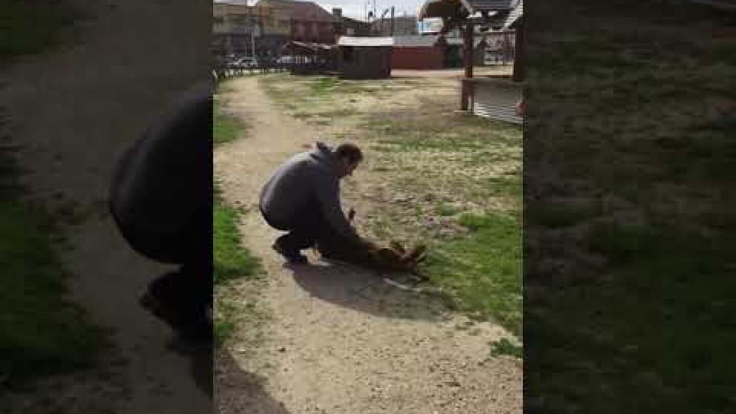 Lost Dog Can't Believe She's Seeing Her Owner Again — Until She Smells Him