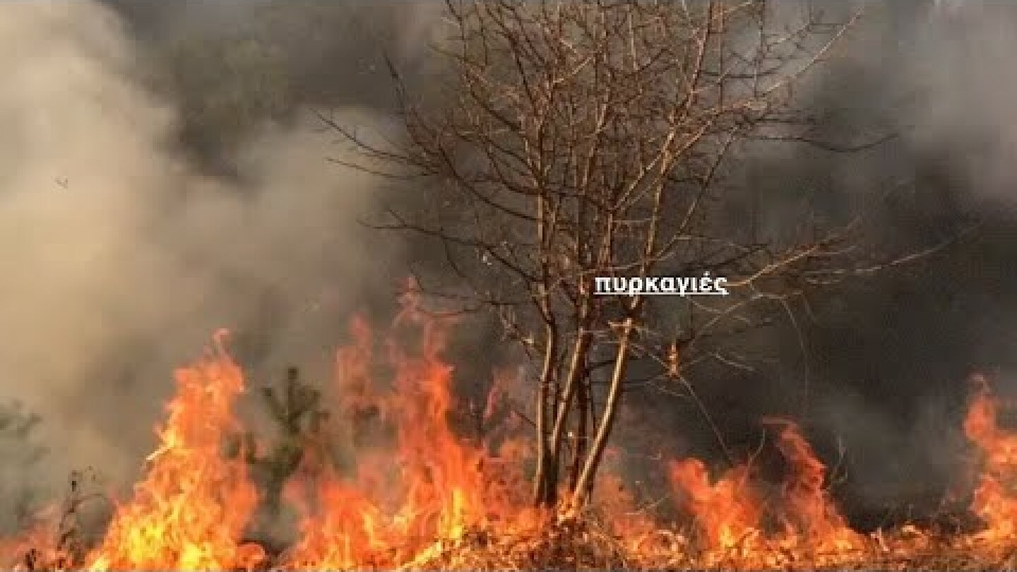 "Χαλάμε το κλίμα" για να φτιάξουμε το κλίμα