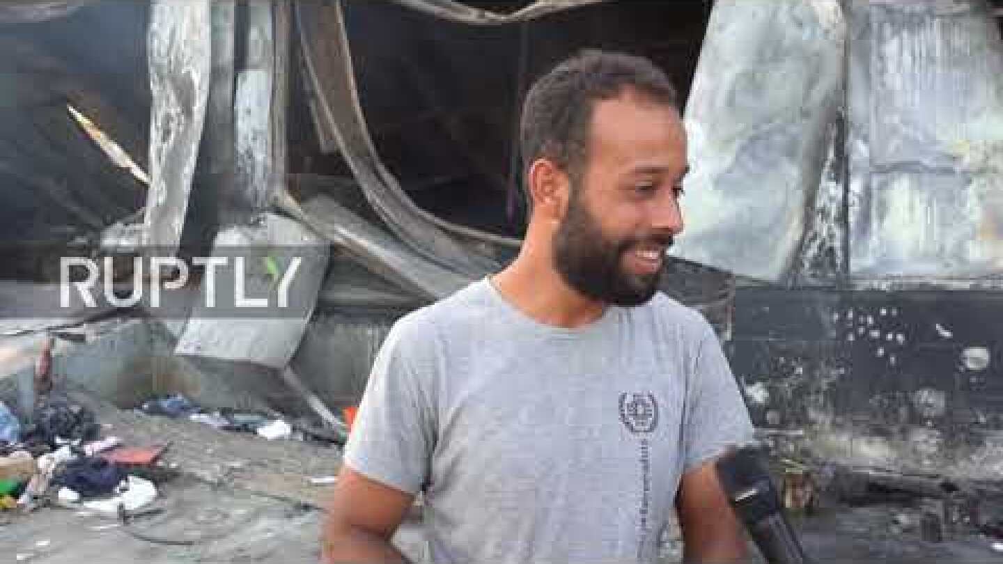 Greece: Migrants and animal welfare activists take care of stray cats and dogs at burned Moria camp