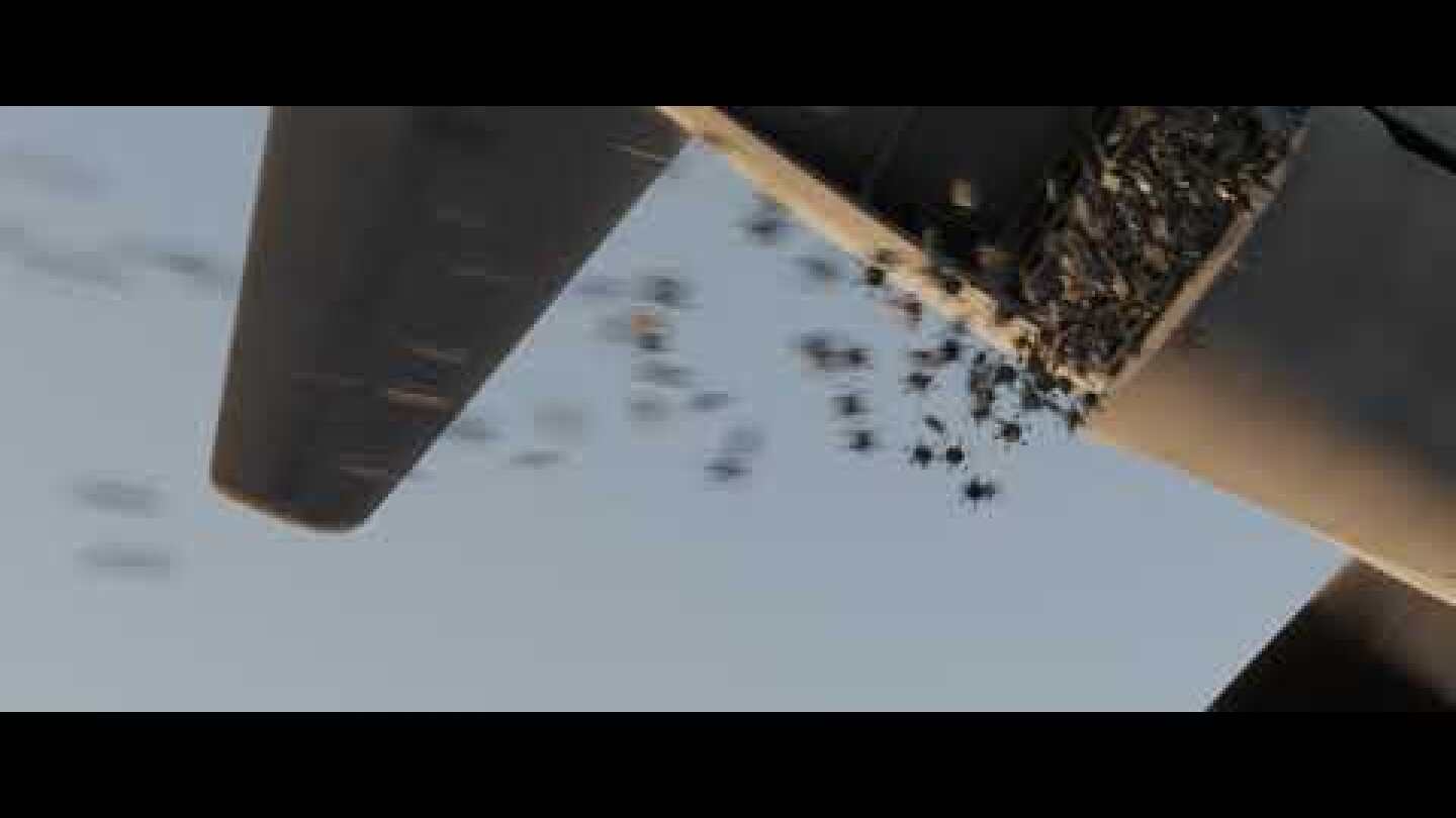 EF-2 and SS-4 swarm simulation