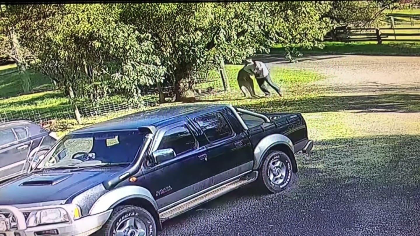 Man attacked by kangaroo
