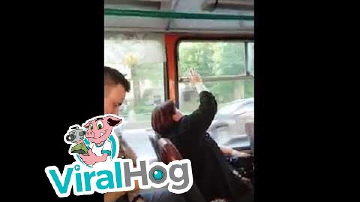 Window War || ViralHog