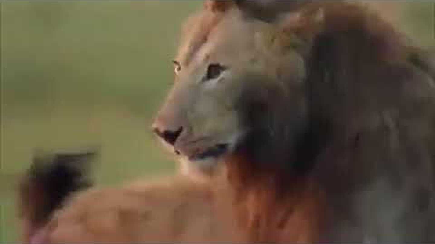 O vídeo polêmico do presidente Bolsonaro