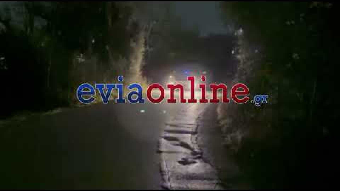 Εύβοια: Έγκλημα στον Μύτικα - 75χρονος σκότωσε 50χρονο και αυτοκτόνησε