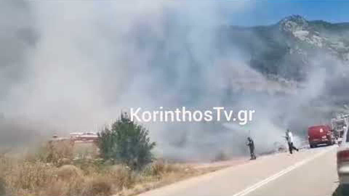 Πυρκαγιά σε δασική έκταση, στην περιοχή Σκάλωμα Φωκίδα