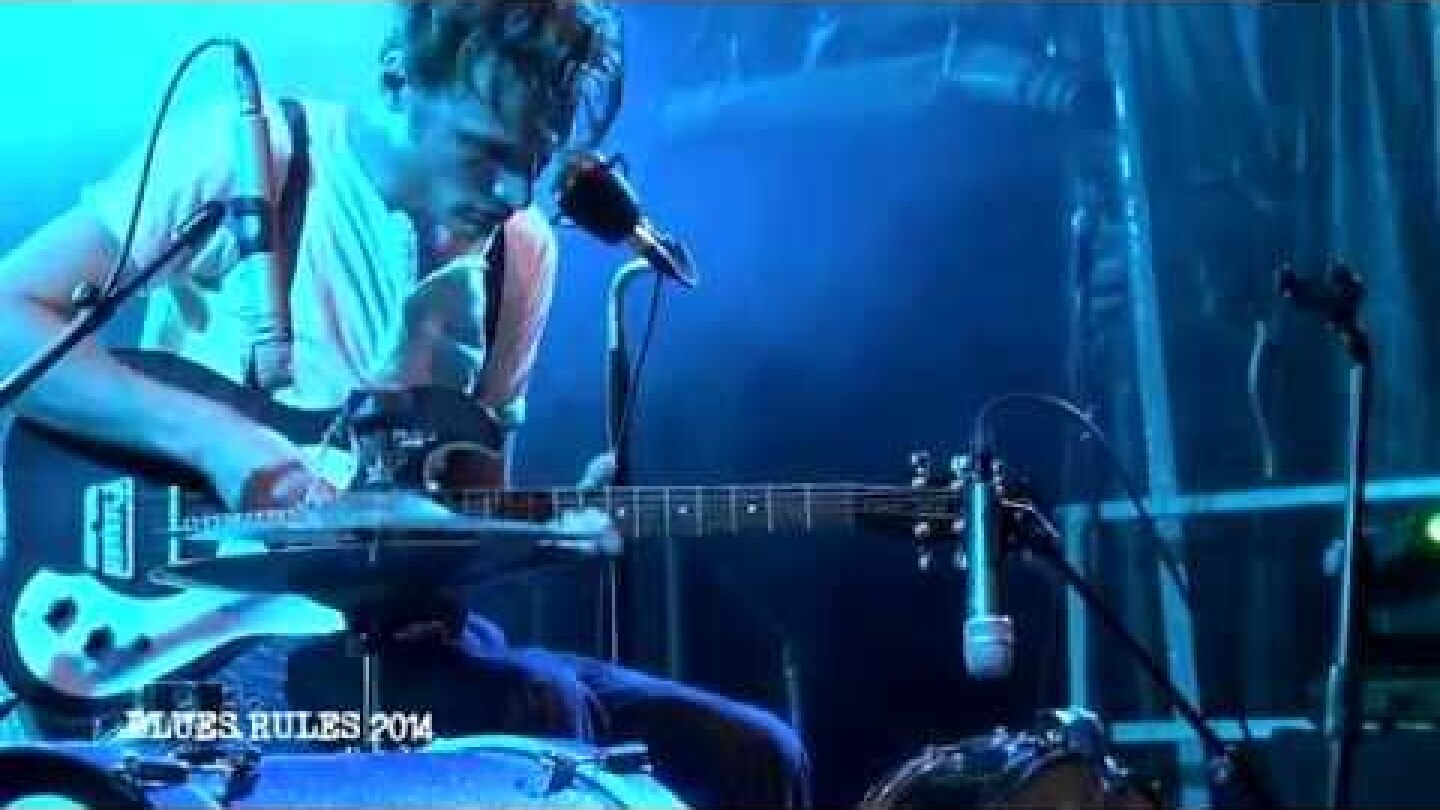 BROR GUNNAR JANSSON Moan Snake Moan Blues Rules 2014