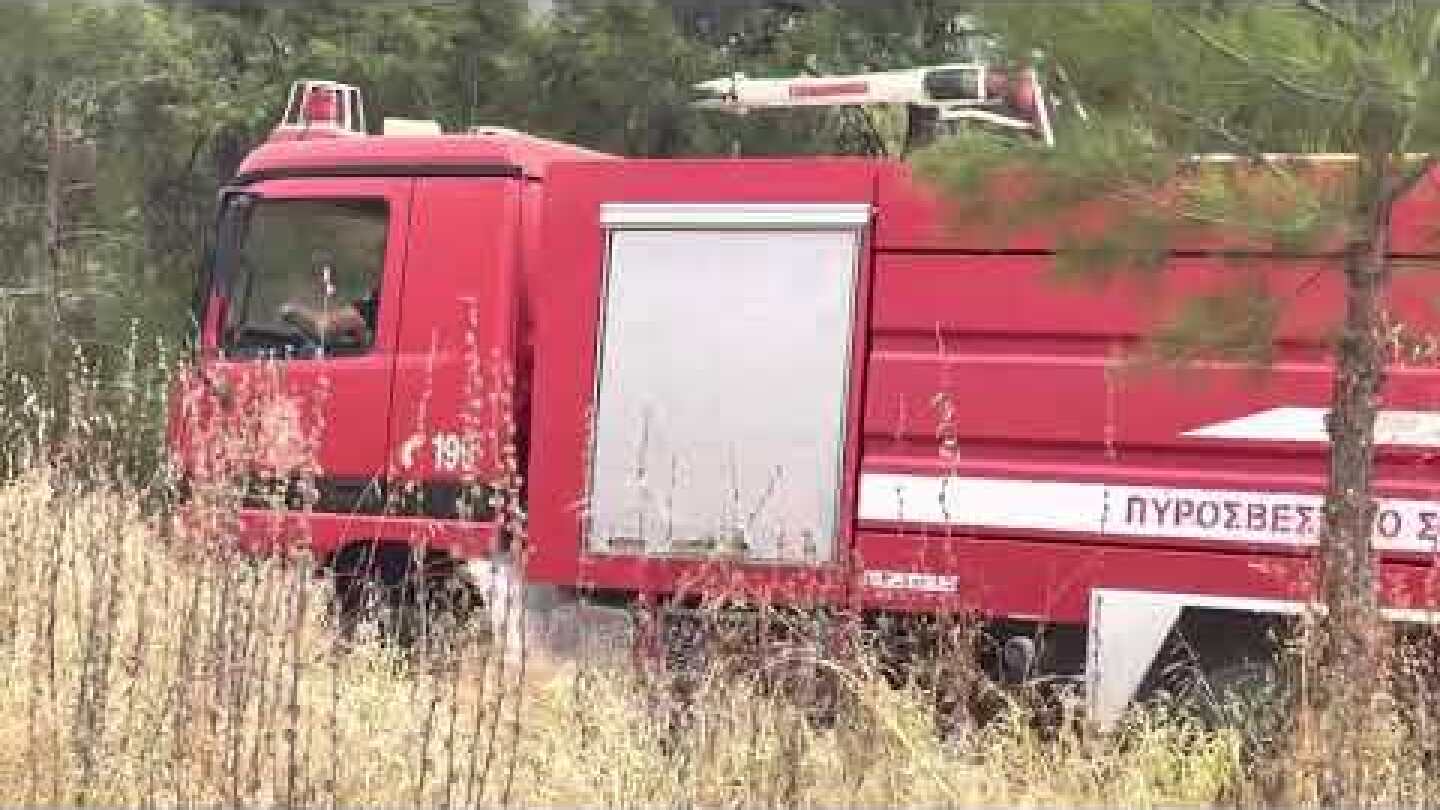 Thestival. gr Φωτιά στο Σειχ Σου