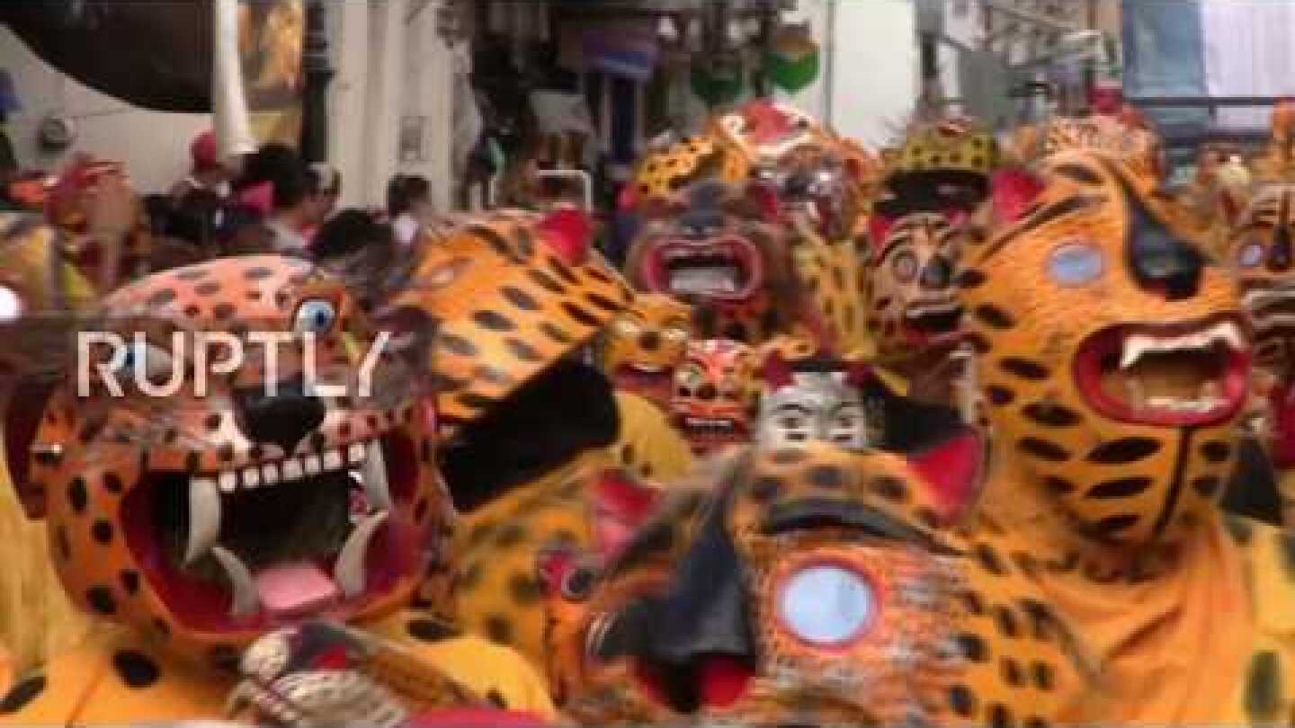 Roar for rain! Tigers in chains hope to unlock heavens