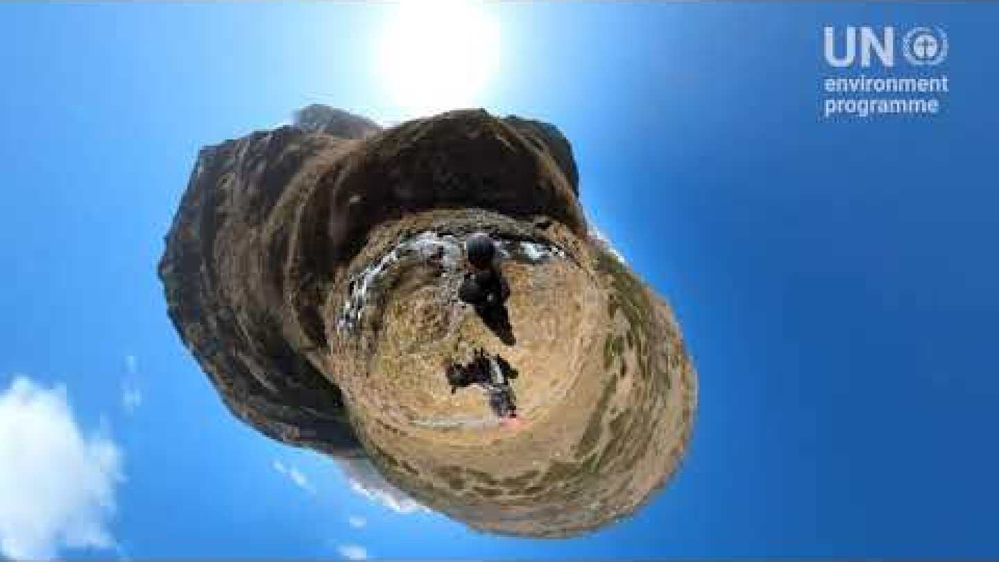 Protecting the Ghost: Snow Leopard Day 2019