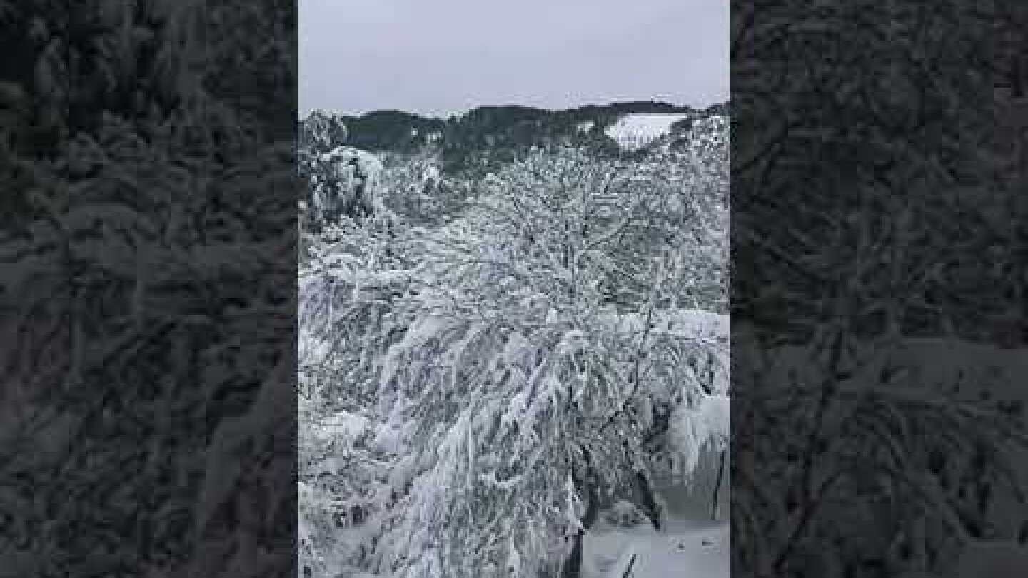 Κακοκαιρία Μήδεια στο νησί της Σκιάθου. 🎥 Video Giorgos Diolettas