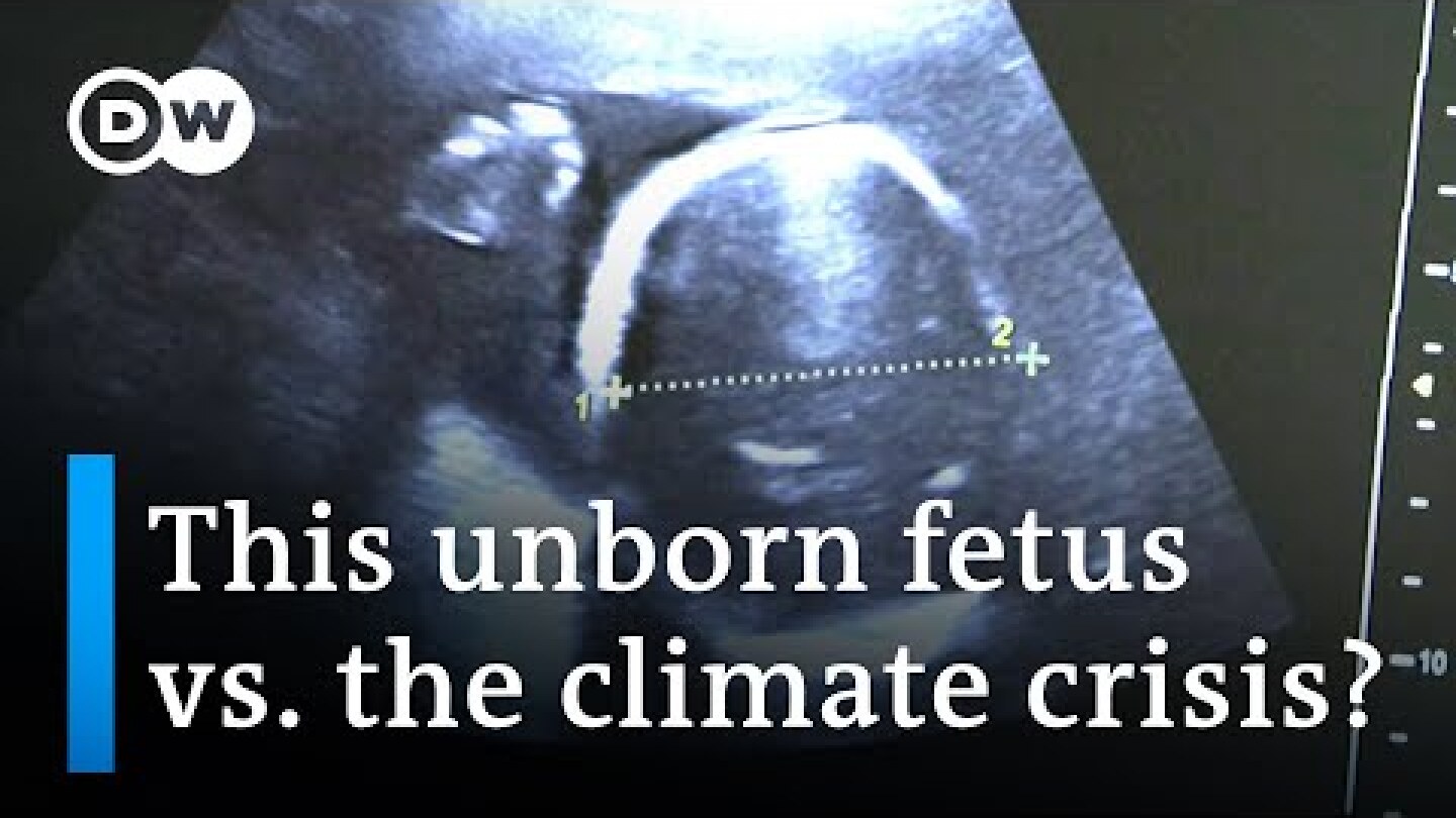 Suing the government to fight pollution in South Korea | DW News