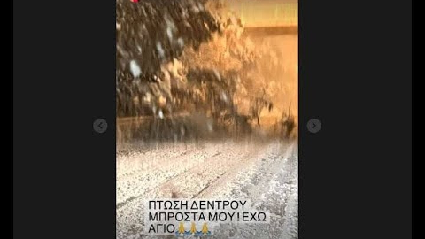 Κέλλυ Κελεκίδου: Έπεσε δέντρο μπροστά της την ώρα που οδηγούσε