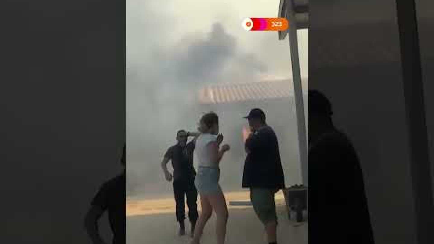 Horses evacuated as wildfires burn stables in Greece