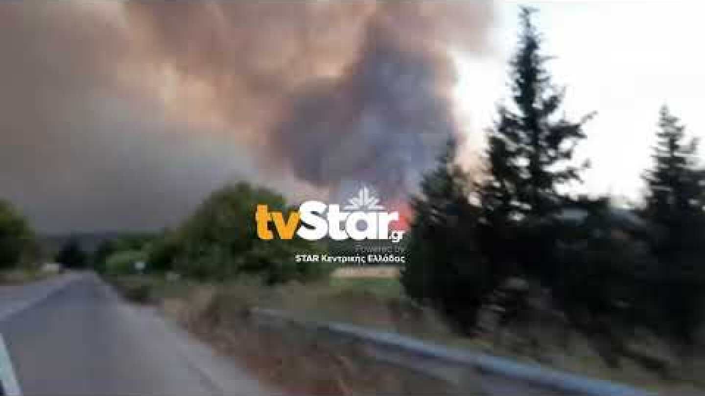 Φωτιά στην Λίμνη Ευβοίας