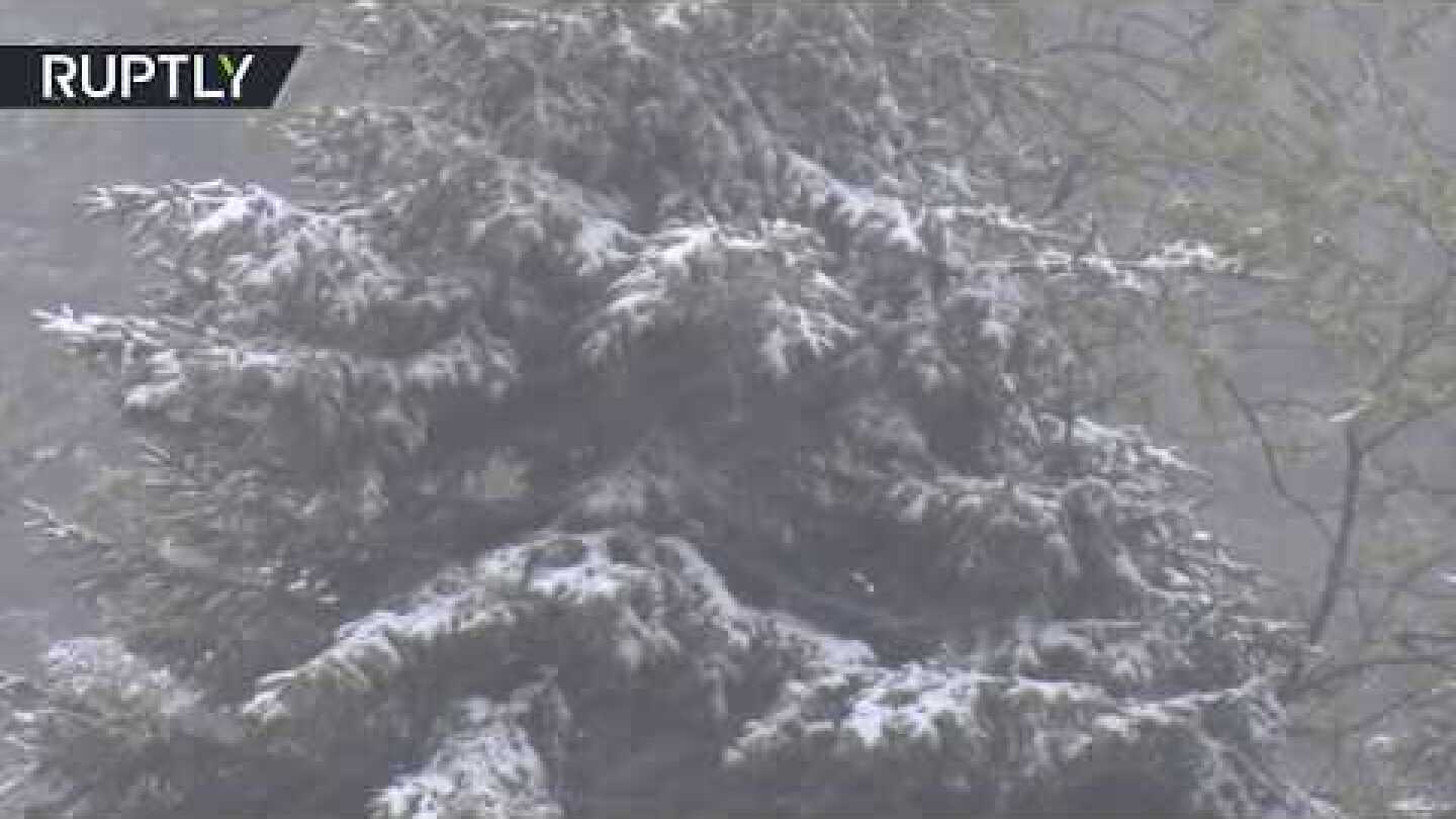 Snow in May | 2020 hasn't finished yet!