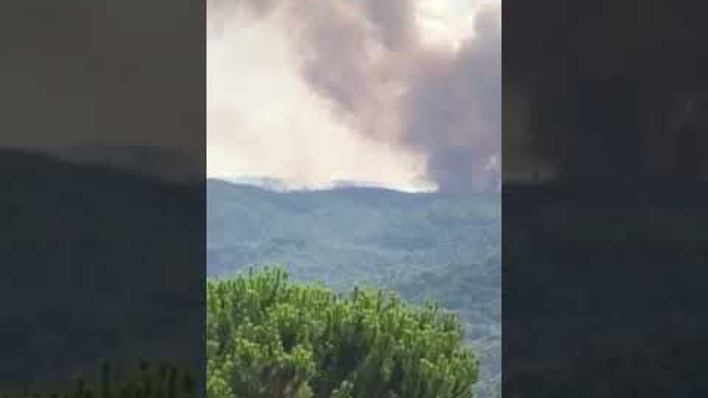 Φλέγεται ξανά η Γορτυνία - Δείτε πως φαίνεται η μεγάλη φωτιά από το Βούτσι