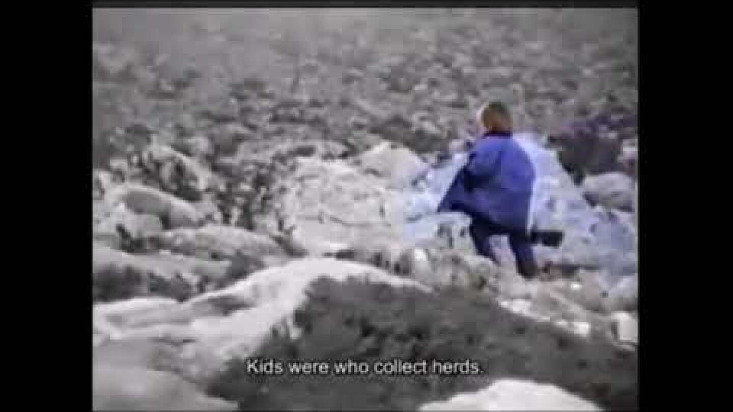 Modric 5 year-old goat herder Full Video BBC