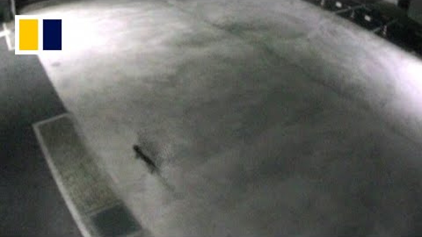 Toxic cat sparks health scare in Japan