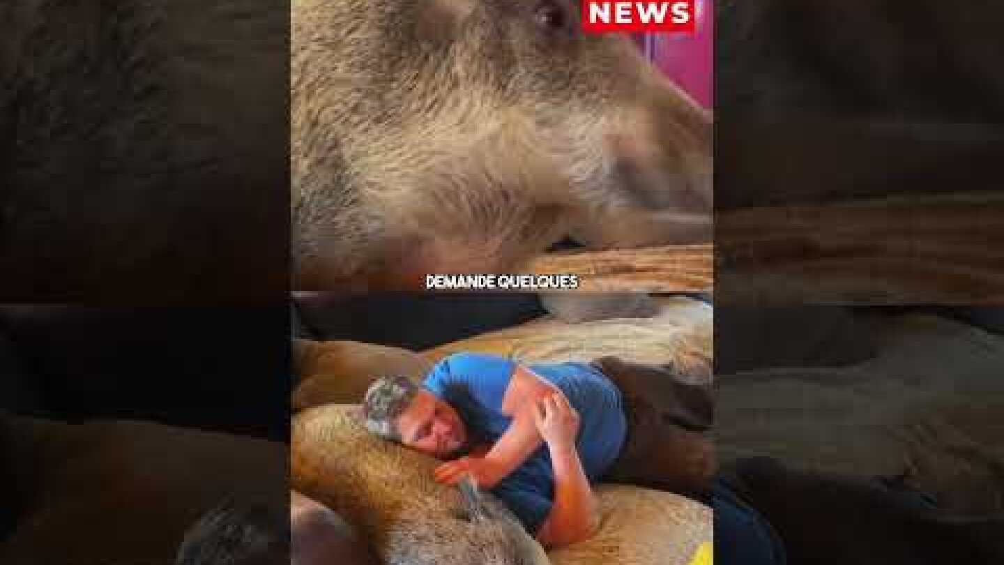 Ils vivent avec un sanglier de 80 kg à la maison #news #actualités #actusdujour #new