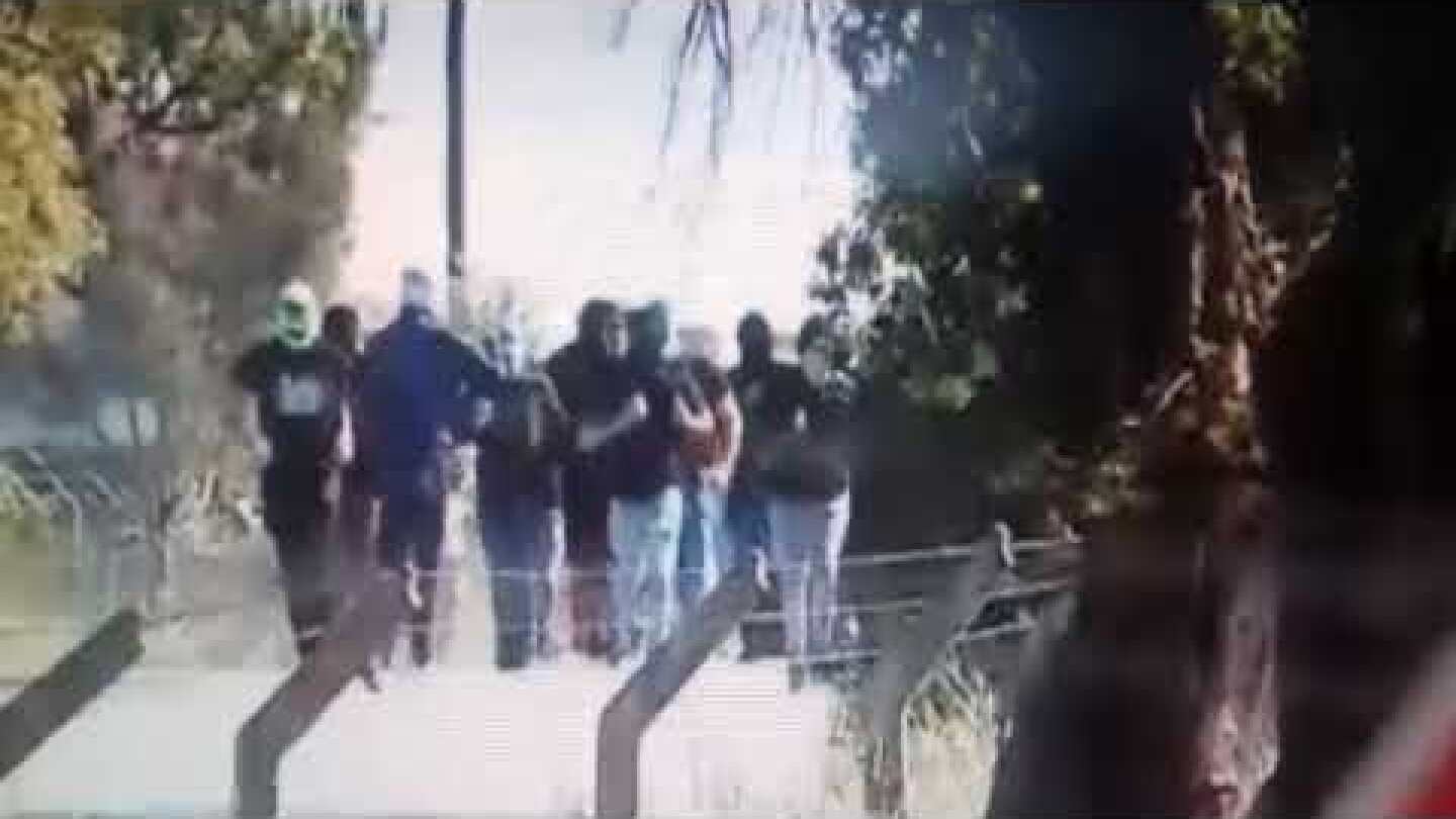 Sporting CP Players attacked by hooligans at training ground