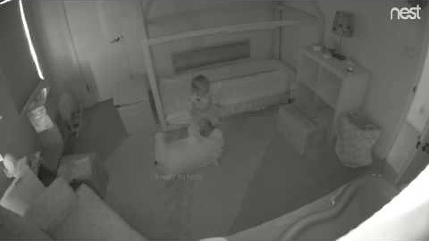 Golden retriever & our toddler: partners in crime