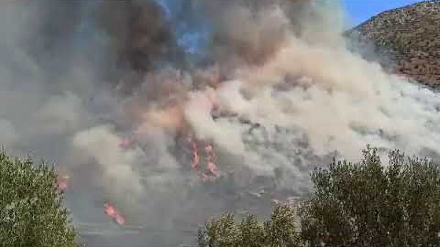 ArcadiaPortal.gr - Φωτιά στον αρχαιολογικό χώρο των Μυκηνών