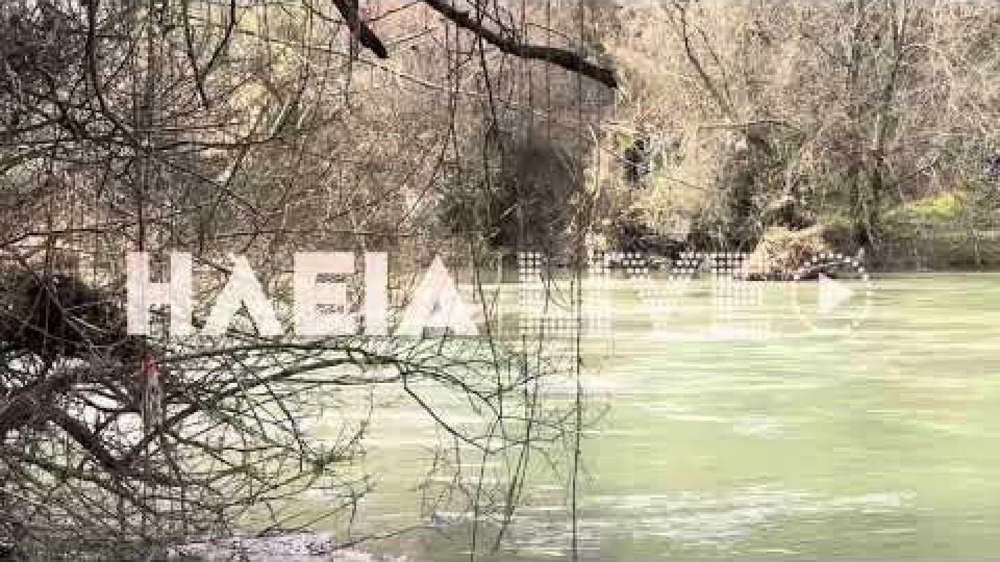 ilialive.gr - Εντοπίστηκε πτώμα στον ποταμό Αλφειό