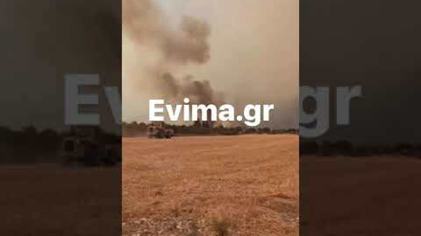 Στον κάμπο του Δύστου η φωτιά