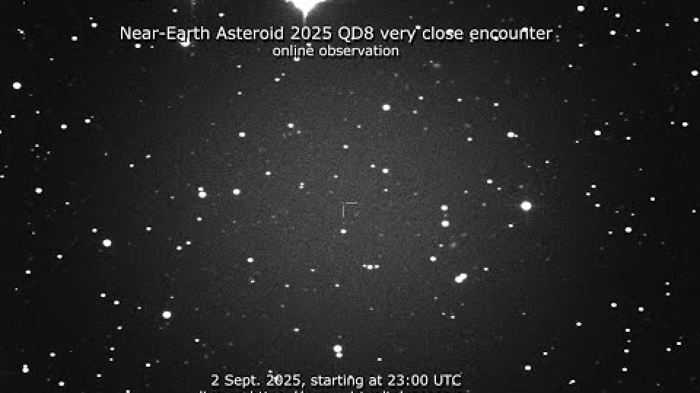 Near-Earth Asteroid 2025 QD8 very close encounter: online observation – 2 Sept. 2025.