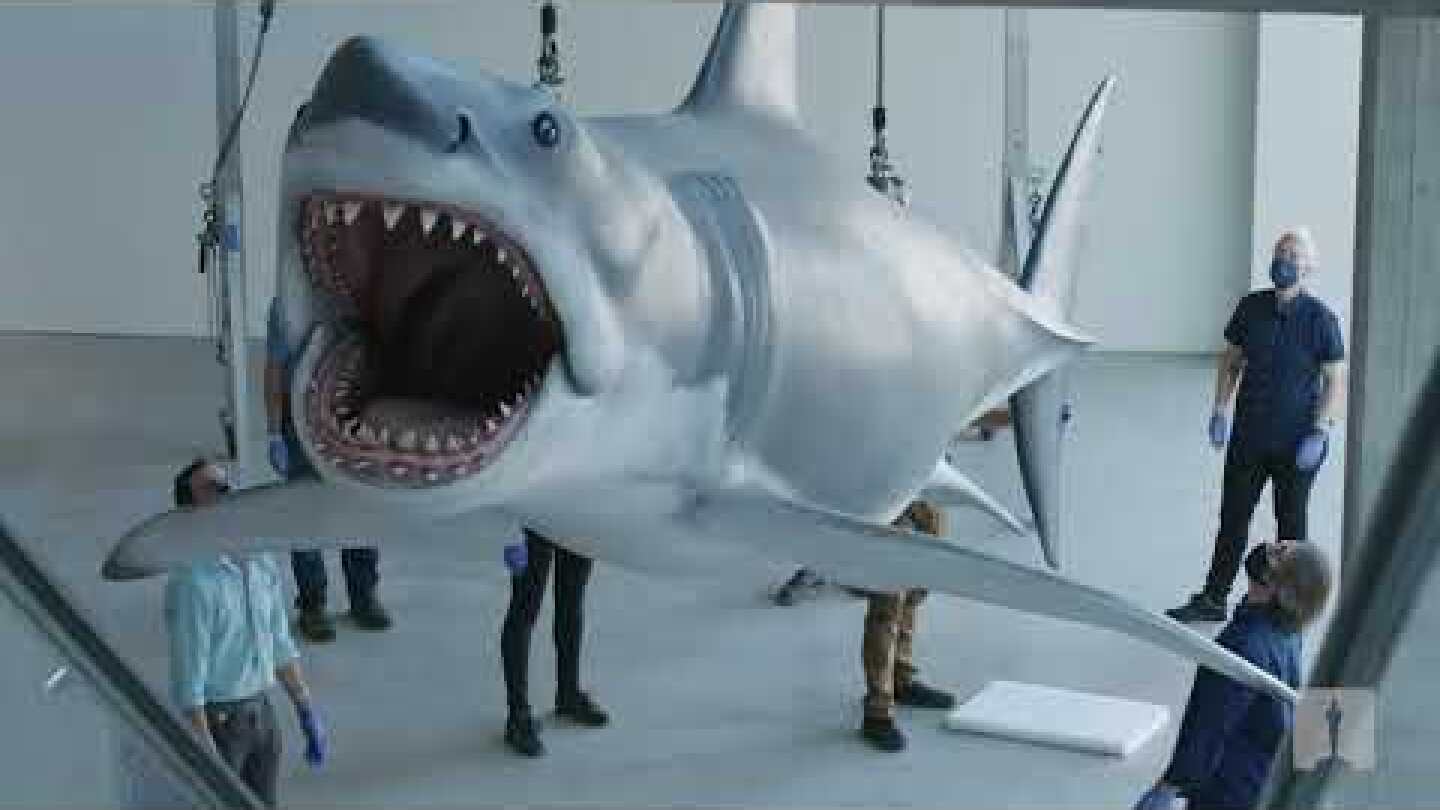 Installing Bruce the Shark | Academy Museum