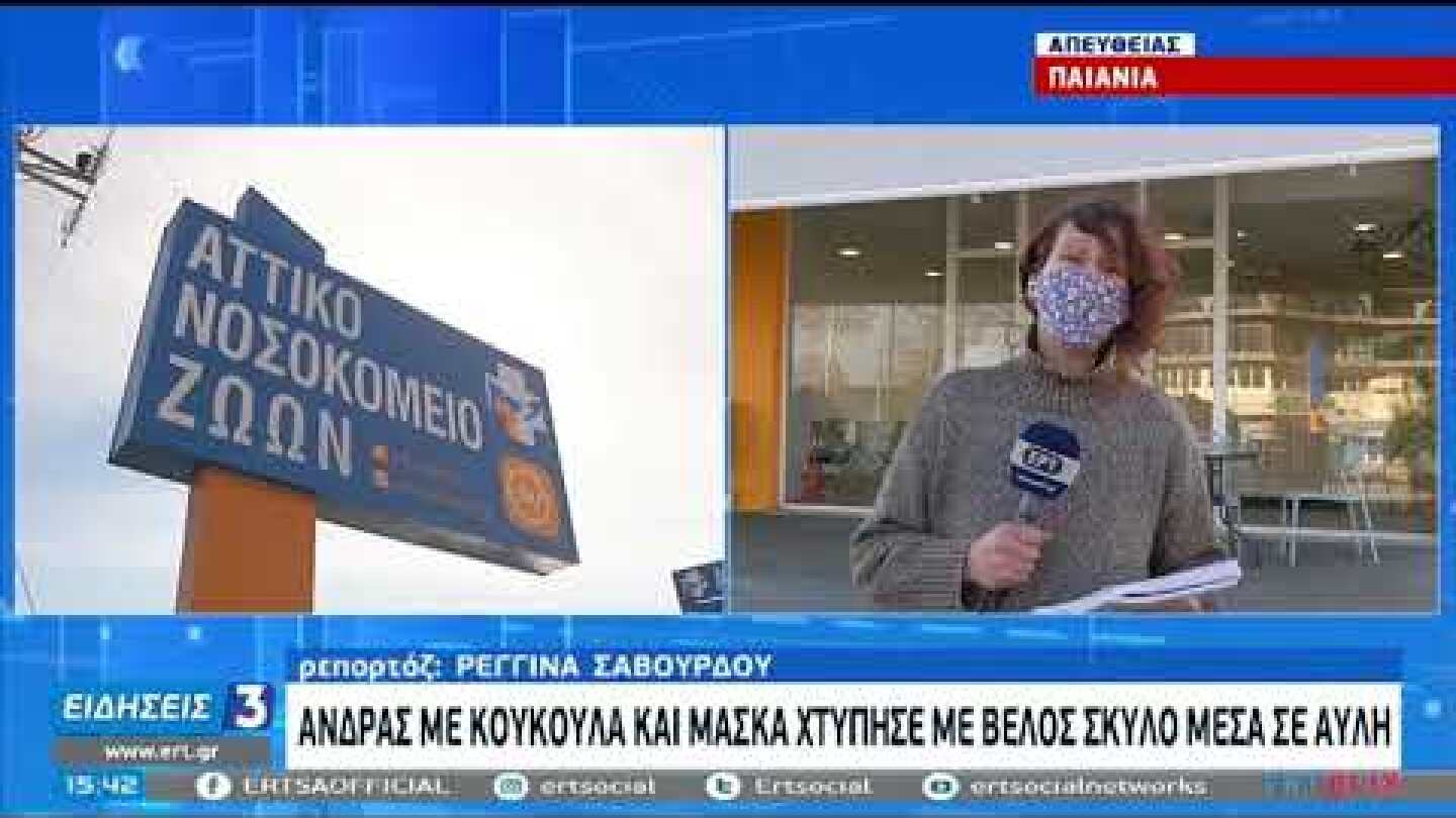 Με σκοπευτική βαλλίστρα άγνωστος τραυμάτισε έναν σκύλο στην Πετρούπολη