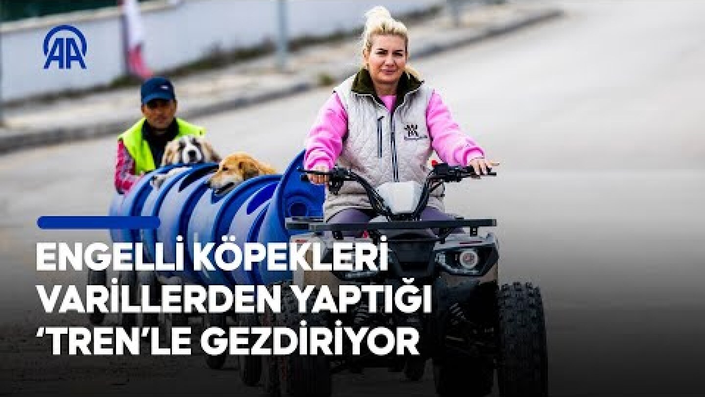 Engelli köpekleri varillerden yaptığı 'tren'le gezdiriyor