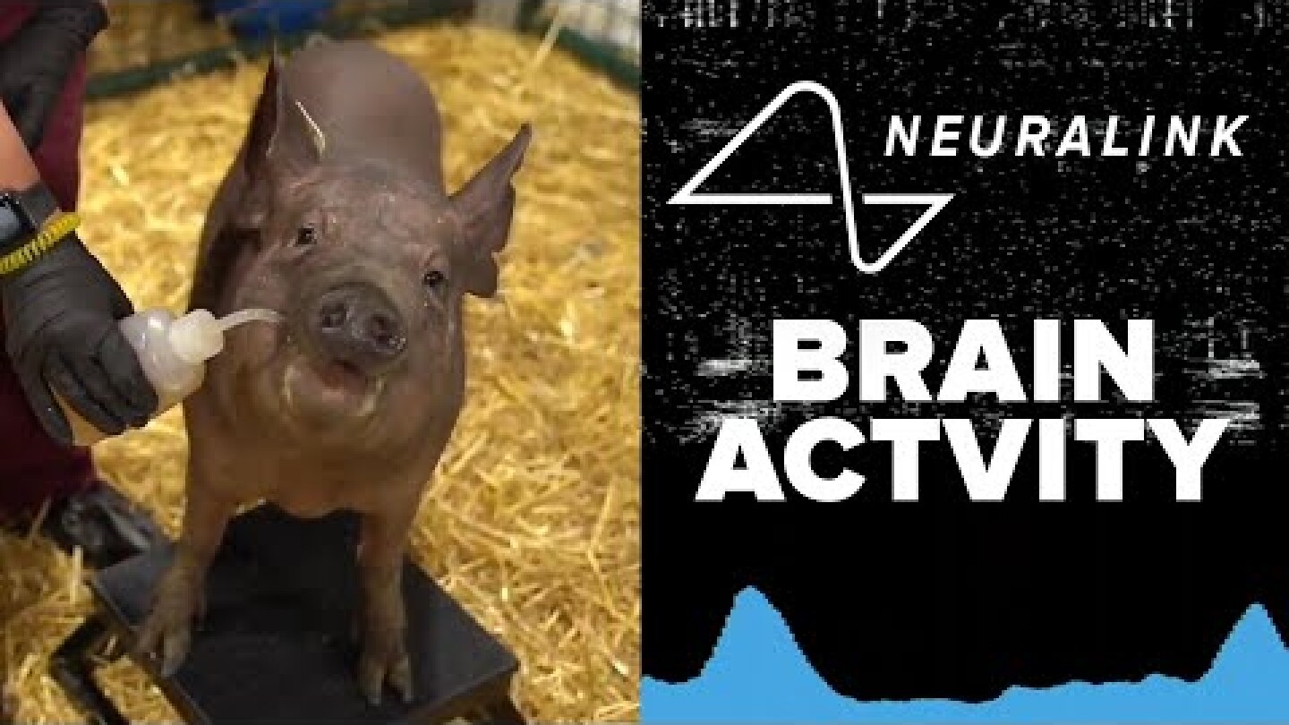 FULL REVEAL! Elon Musk's Neuralink chip tested live in pig brains