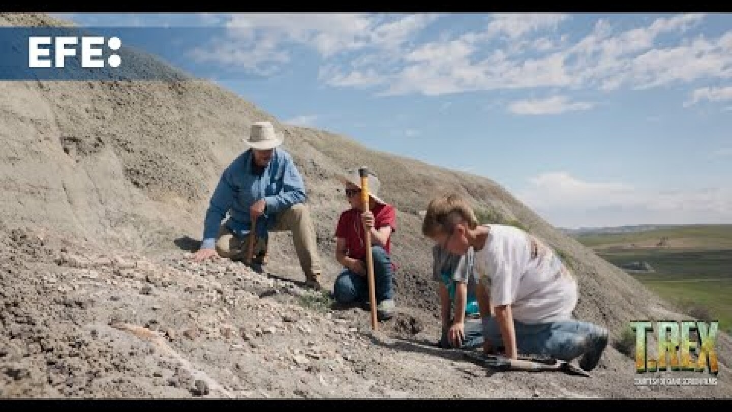 El descubrimiento de un T-Rex adolescente puede revelar por qué era el rey de los dinosaurios