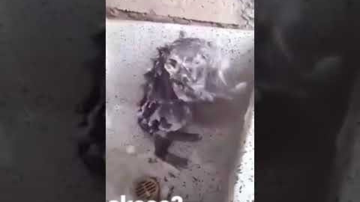RAT taking a SHOWER Like HUMAN | Rata Se Baña como HUMANO