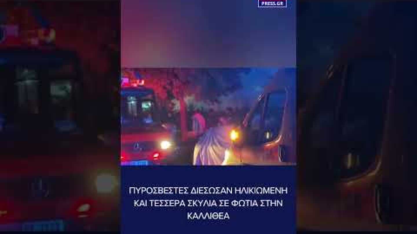 Πυροσβέστες διέσωσαν ηλικιωμένη και τέσσερα σκυλιά σε φωτιά στην Καλλιθέα
